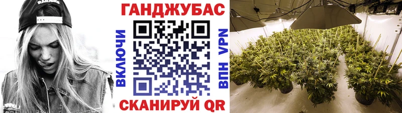 Купить закладки  Гусев  Бошки Шишки THC 21% 